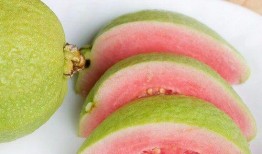 韩国老爸吃蜜瓜视频,甜蜜瞬间引发网友热议