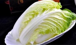 烈焰白菜吃瓜吃自己头上