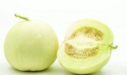 吃甜瓜还是吃蜜瓜减肥,甜瓜与蜜瓜减肥大比拼