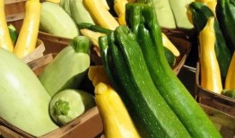 带你吃瓜下载,揭秘“带你吃瓜”下载背后的秘密