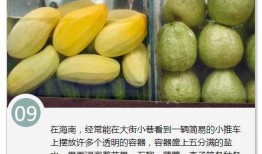 海南实验中学吃瓜,校园“吃瓜”现象背后的校园生活点滴