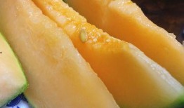 吃的蜜瓜,探寻夏日甜蜜滋味之旅