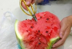 吃瓜剪刀