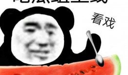 隔壁吃瓜组,揭秘娱乐圈幕后风云