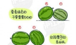 绘圈吃瓜墙,揭秘网络绘圈背后的八卦风云