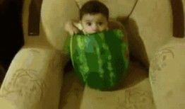 吃瓜是坐着吃的还是躺着,揭秘吃瓜姿势大揭秘