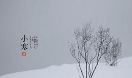 小寒的吃瓜日记,揭秘娱乐圈的甜蜜与苦涩