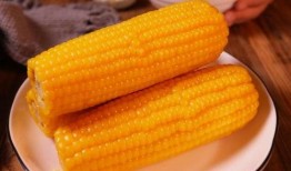 吃瓜最初来源,揭秘“吃瓜”一词的起源与演变