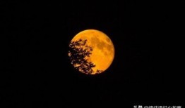 绿瓜月亮吃辣椒成语,探寻成语背后的趣味与智慧