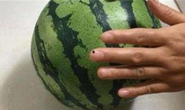 捧瓜如何吃,捧瓜的多样食法探索