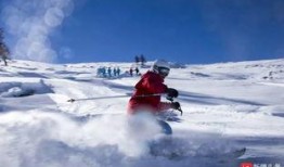 新疆阿勒泰滑雪吃瓜,游客体验冰雪与瓜果的完美邂逅