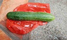 什么瓜容易吃,探索哪些瓜类容易吃出美味佳肴