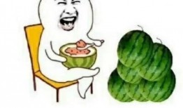 娱乐圈日常吃瓜,揭秘明星们的日常“瓜田”生活