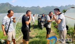 吃瓜4k,带你领略高清视觉盛宴