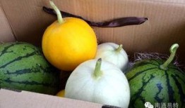 瓜吃不停,揭秘娱乐圈的甜蜜诱惑与麻辣冲突