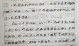 吃瓜真解渴作文结尾,揭秘网络舆论背后的真相与启示