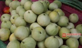 南宁吃瓜爆料,最新爆料一网打尽！