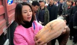 吃瓜姐说电影,揭秘幕后故事