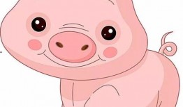 猪打转吃瓜,探寻乡村生活的趣味与智慧