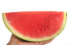 浙江最新吃瓜事件,揭秘网络热议事件背后的真相