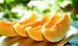 怎样吃小蜜瓜,小蜜瓜的多样美味体验