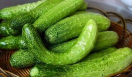 vtuber吃瓜,揭秘吃瓜背后的娱乐生态