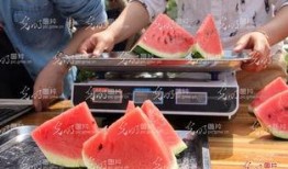 吃瓜学校山东,揭秘校园里的独特文化现象