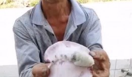 秋名山吃瓜大叔,揭秘赛车界的神秘“吃瓜群众”