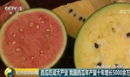 吃瓜自己也成瓜,我的成长之旅