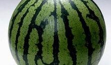 什么叫吃瓜群,网络社交新现象背后的文化解读