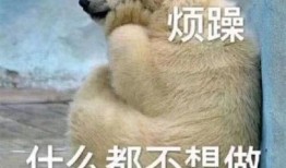 暴走图吃瓜群众,揭秘网络热图的狂欢与争议