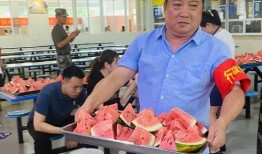 林健学校吃瓜,揭秘校园里的“瓜田”风云