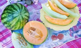 梦见瓜给人吃,揭秘瓜给人吃的神秘寓意