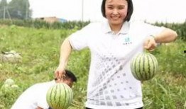 吃瓜群众1568,一场全民参与的娱乐盛宴