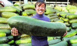 网上吃内脏的瓜