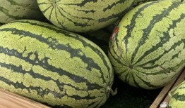 重庆钓鱼塘吃瓜,重庆钓鱼塘里的夏日吃瓜趣事