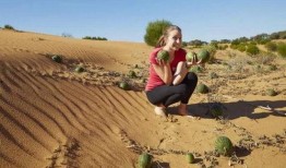 最新吃瓜视频大漠瓜客,揭秘吃瓜视频背后的神秘世界