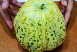 吃瓜绵绵,揭秘娱乐圈背后的故事与真相