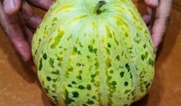 吃瓜绵绵,揭秘娱乐圈背后的故事与真相