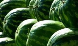 凹凸吃瓜,揭秘娱乐圈背后的那些事儿