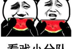 吃瓜观众的表情包,揭秘网络时代的“表情盛宴”