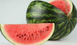 母瓜吃瓜,一场甜蜜的孕育之旅