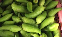 大烟角瓜怎么吃,解锁美味新体验