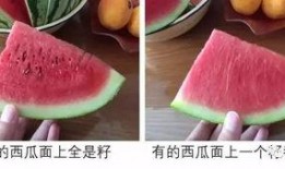 ppt吃瓜谁发明的,是谁发明了这个网络流行语？”