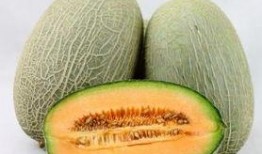 韩国吃哈密瓜吗,哈密瓜的甜蜜邂逅