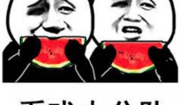表情吃瓜的意思,揭秘网络热词背后的趣味与内涵