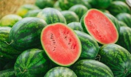 吃茄瓜多会怎样,过量食用茄瓜的健康影响揭秘