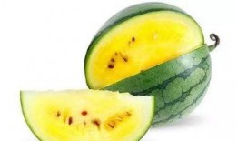 网站吃瓜八酱,吃瓜八酱带你领略幕后风云