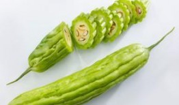 吃凉瓜胃酸,揭秘消暑美食背后的健康隐患