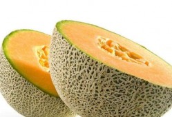 吃狗肉可以吃哈密瓜么,探寻异域美食的奇妙搭配